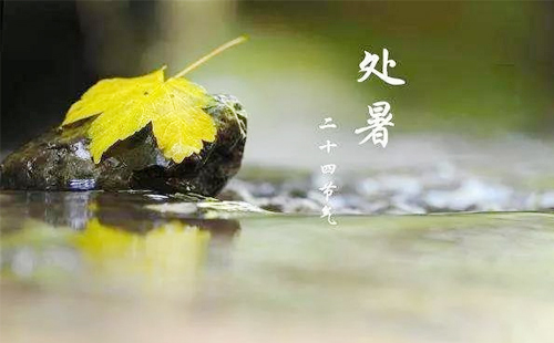 【大光明电器开关·处暑智控，点亮安全之光】